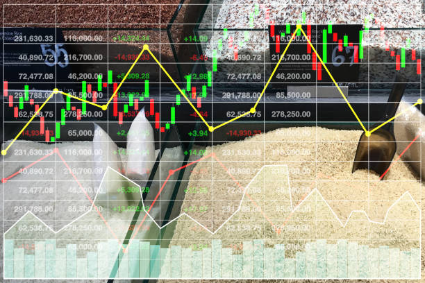 ¿Qué es la libertad financiera y cómo alcanzarla?